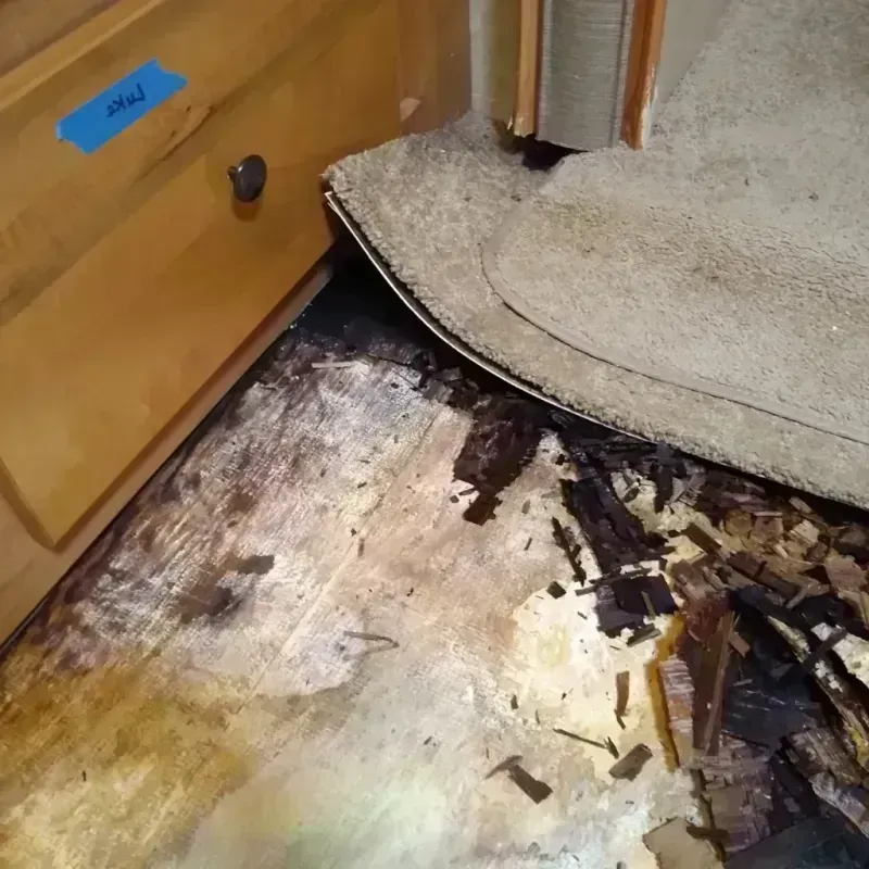 Wood Floor Water Damage in Richland, GA